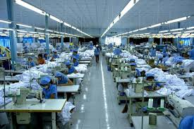 Công Ty Giấy Lee & Man: Ngành Giấy Năm 2020 - 2