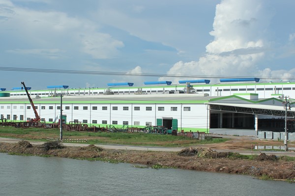 Thúc Đẩy Phát Triển Năng Lực Sản Xuất Giấy Trong Nước