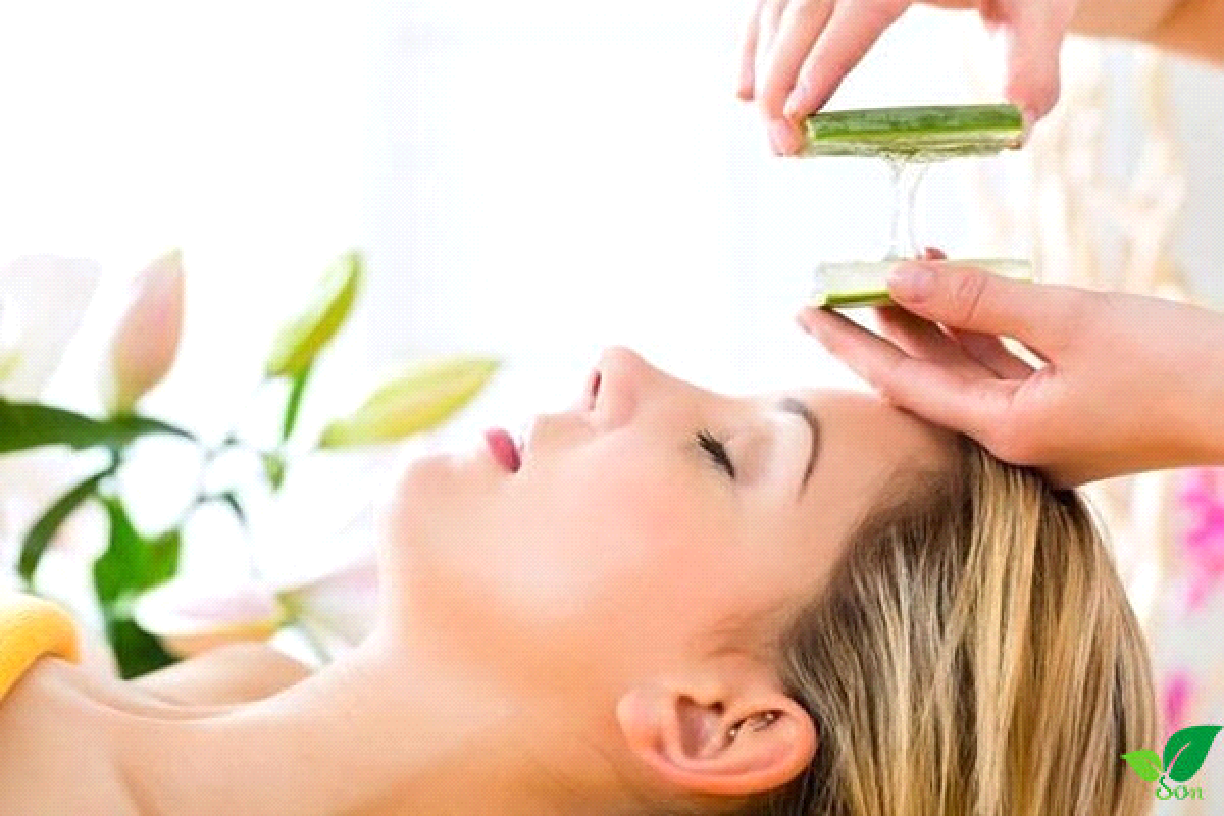 Công Dụng Của Aloe Vera Giúp Thanh Nhiệt, Nhuận Tràng